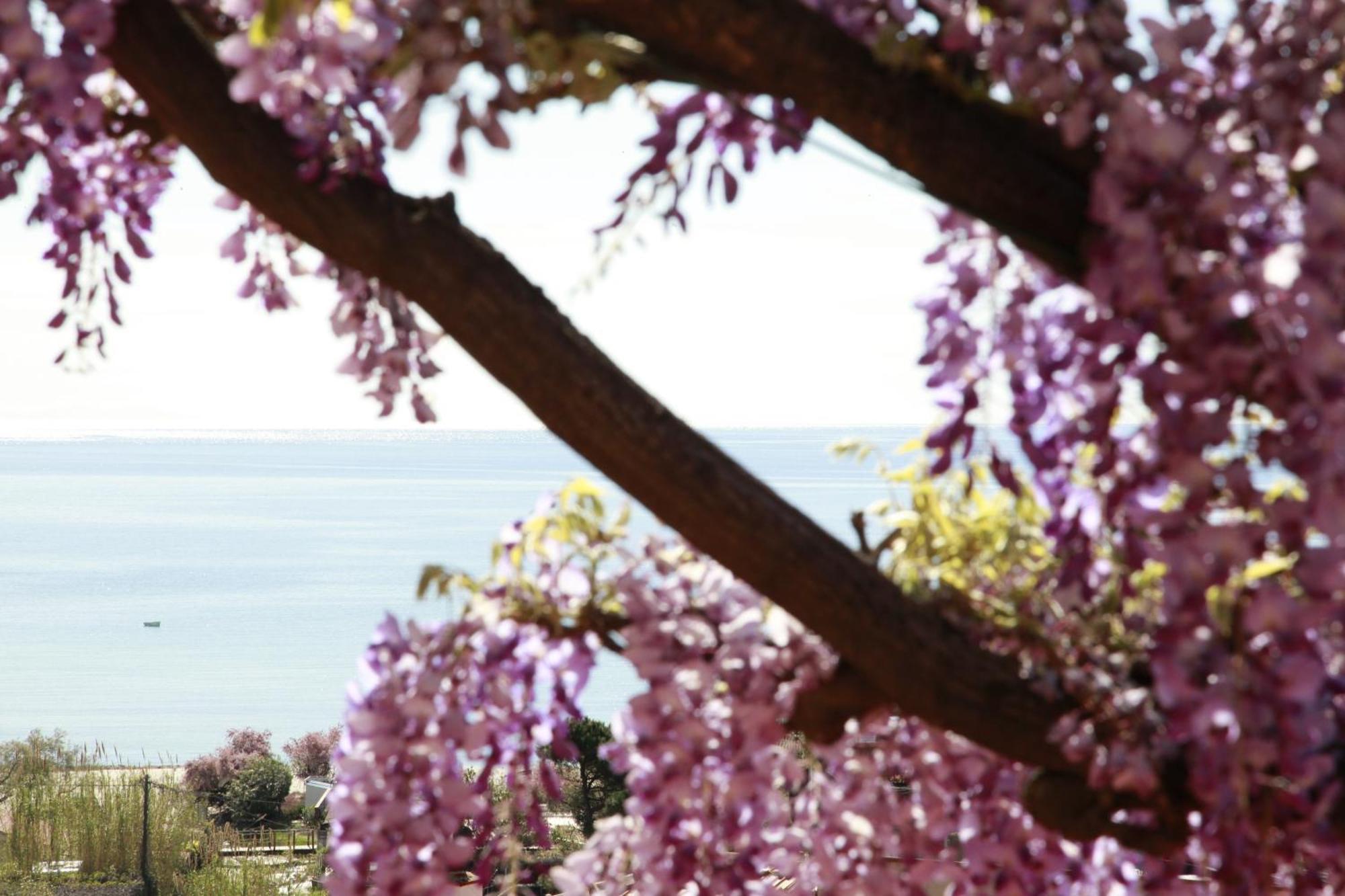Hotel Galli - Wellness & Spa Fetovaia Eksteriør billede